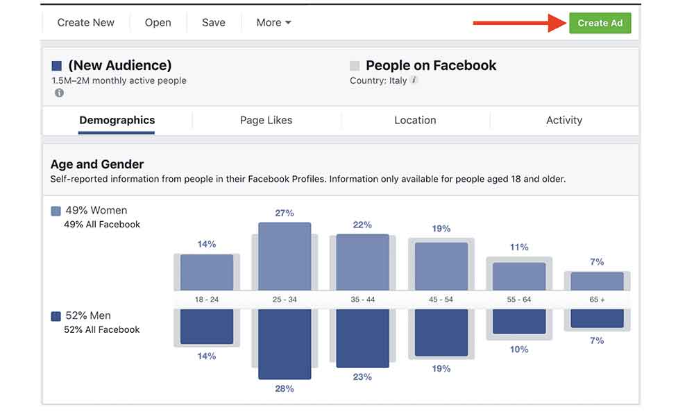 Facebook audience 