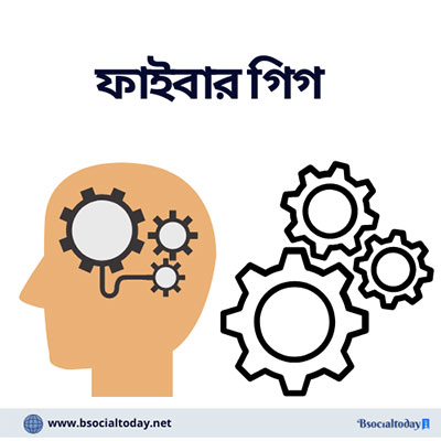 নতুনদের জন্য ফাইবার রুলস